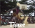 T�nze